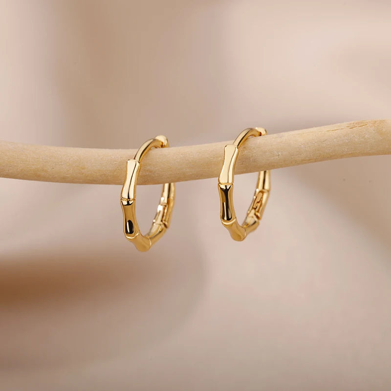 Stainless Steel Mini Hoops